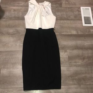 Ted Baker dress